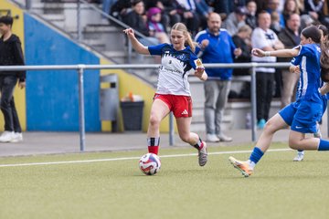 Bild 339 - wBJ Hamburger SV - FC Suederelbe : Ergebnis: 9:0